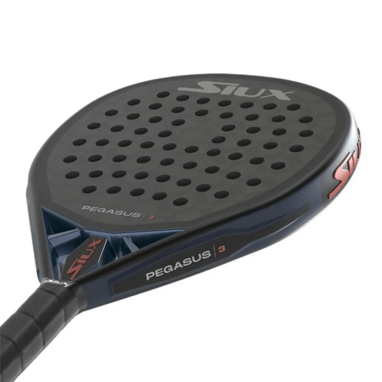 Siux Pegasus 3 2025 Detalle Siux Pegasus 3 2025 Detalle